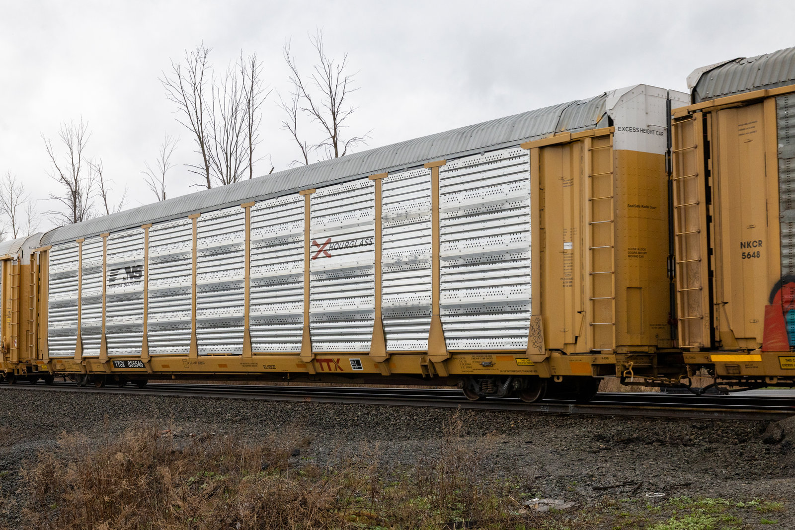 TTGX 835546