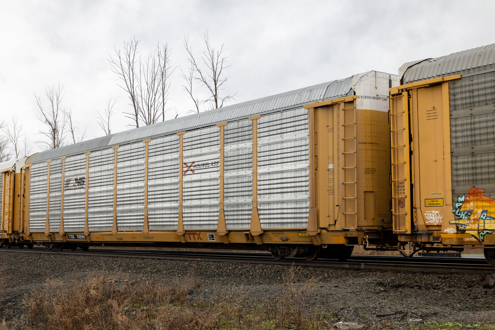 TTGX 708596