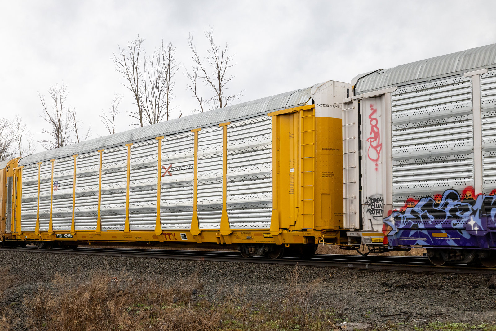 TTGX 835354
