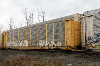 TTGX 851998