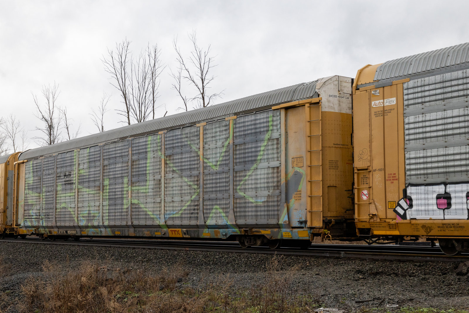 ETTX 850960