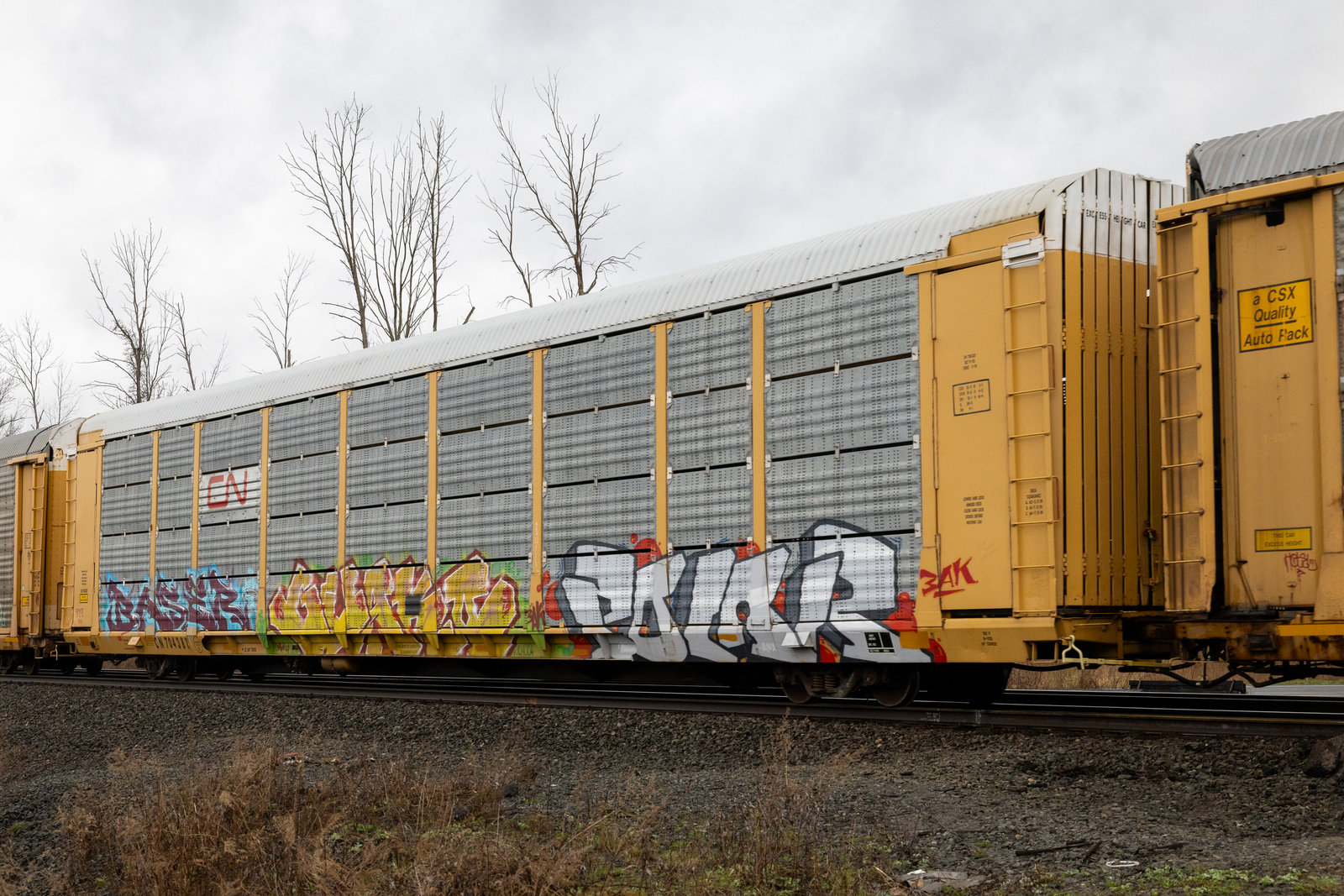 CN 704381
