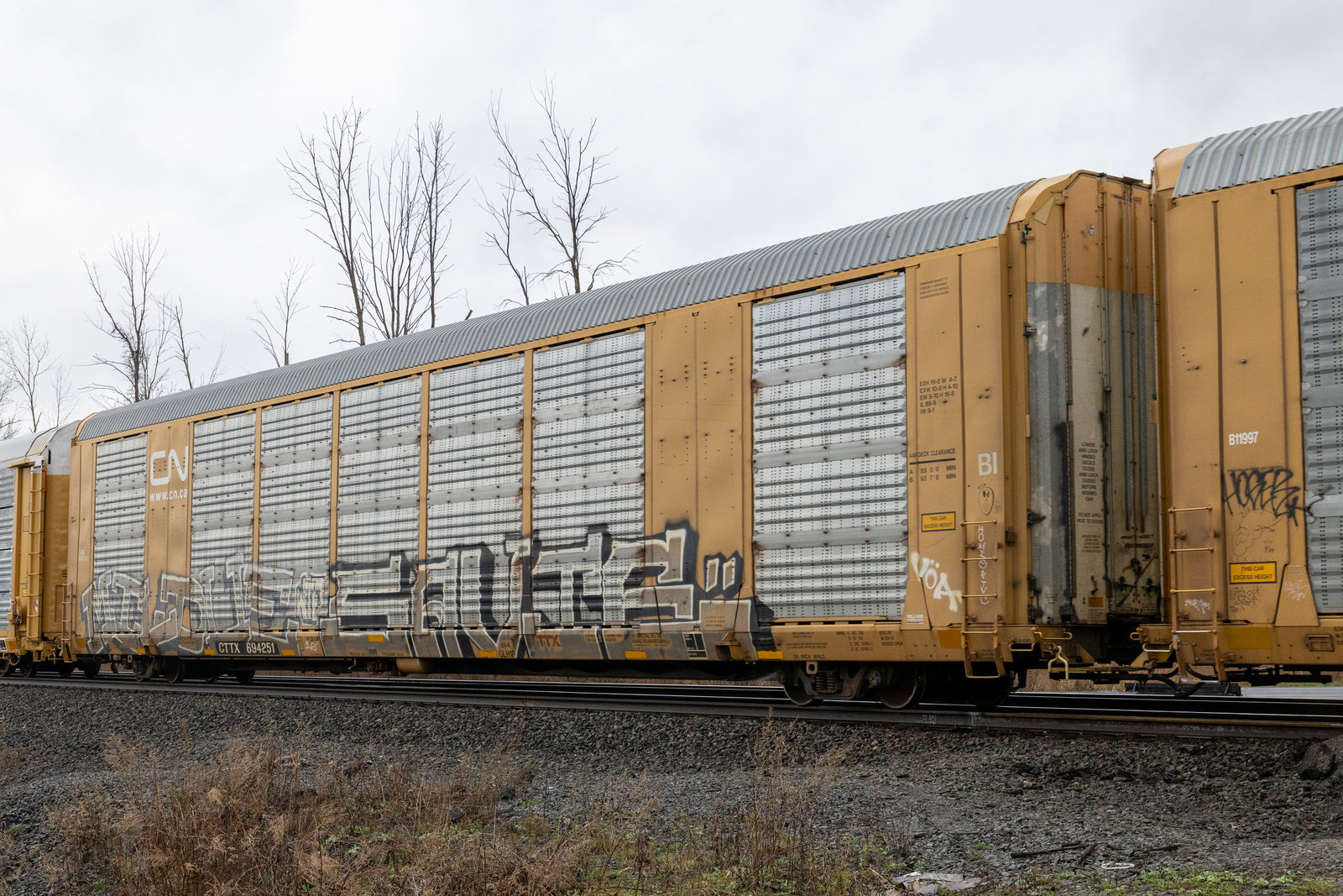 CTTX 694251