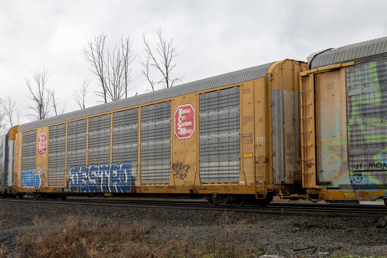 CTTX 695118