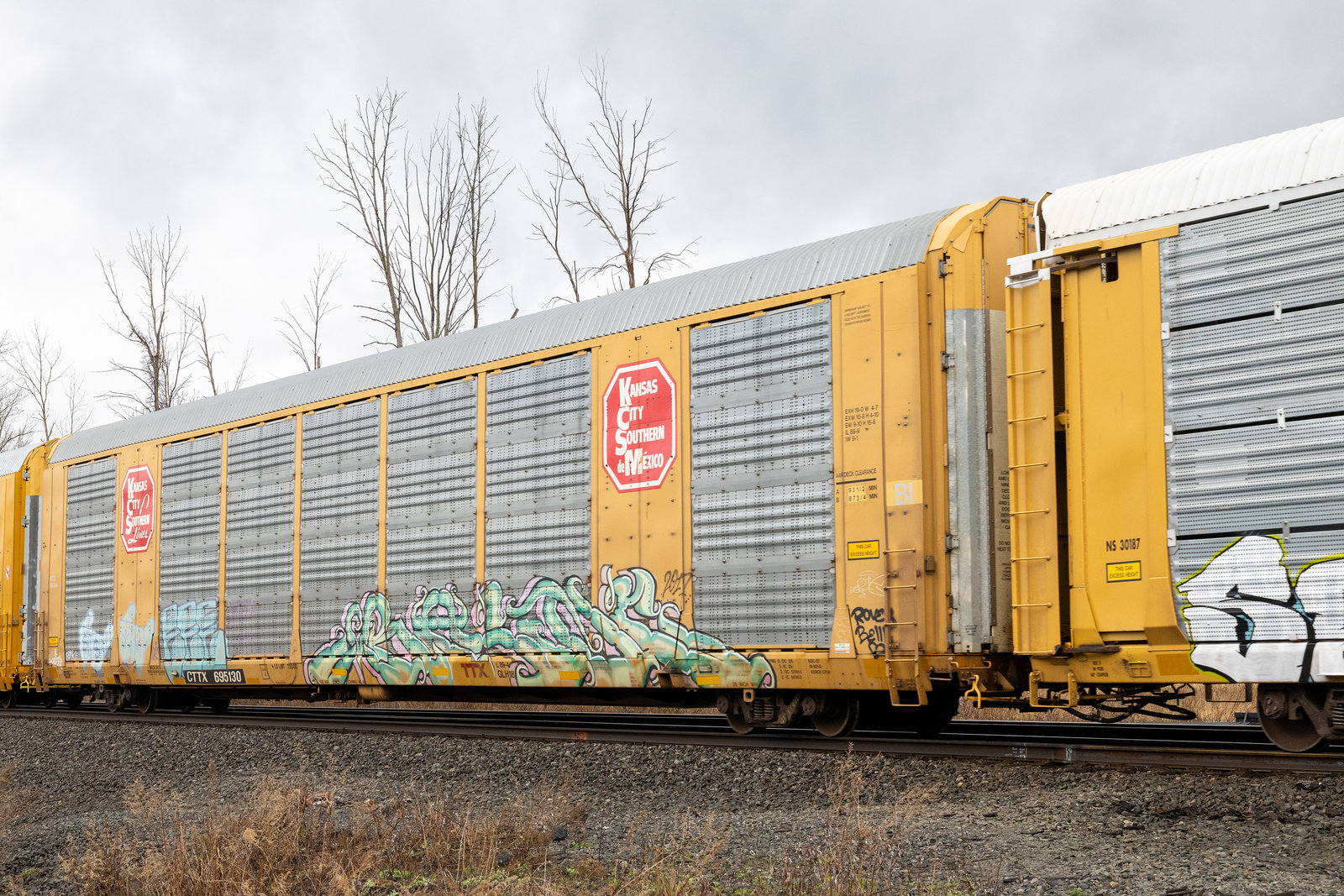 CTTX 695130