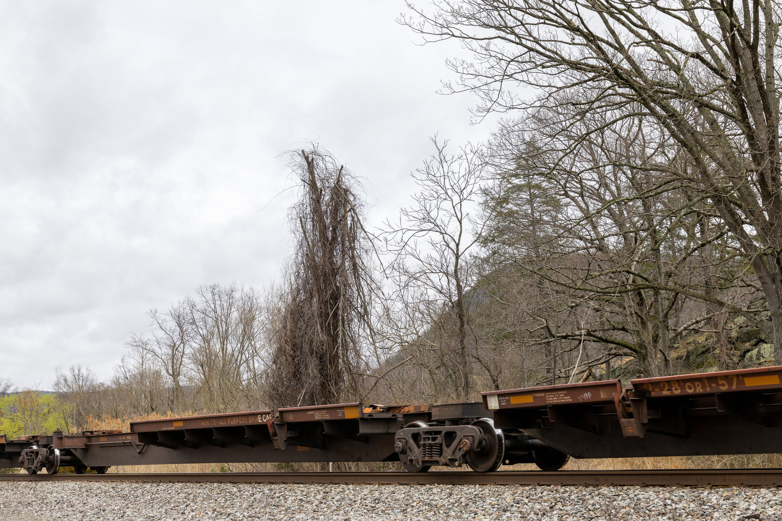 BNSF 300642C