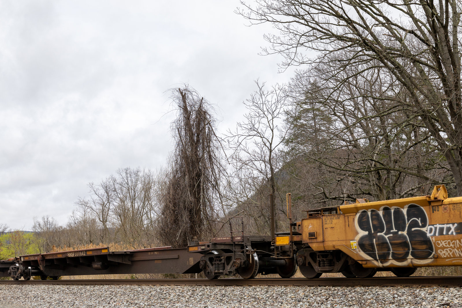 BNSF 300642A