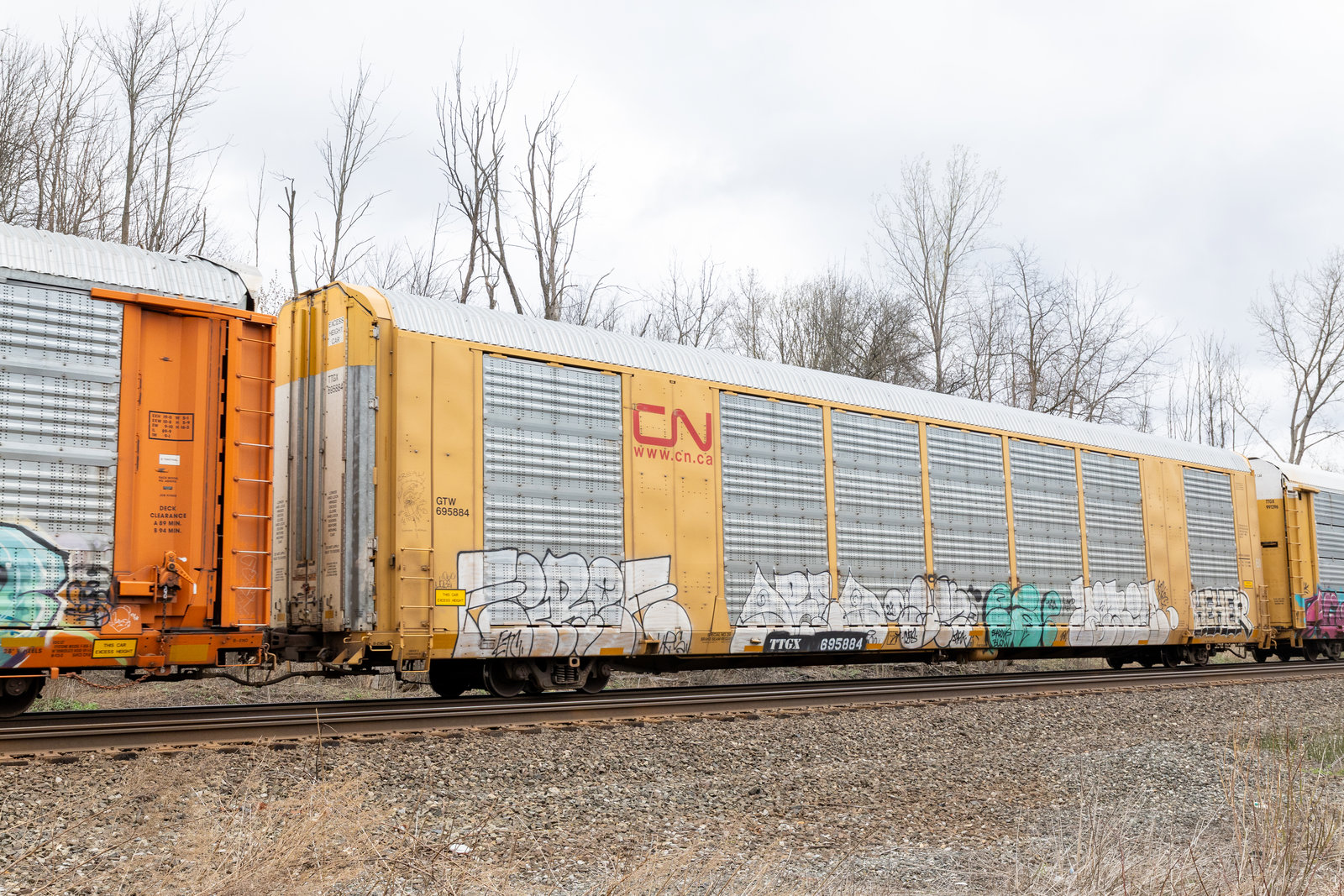 TTGX 695884