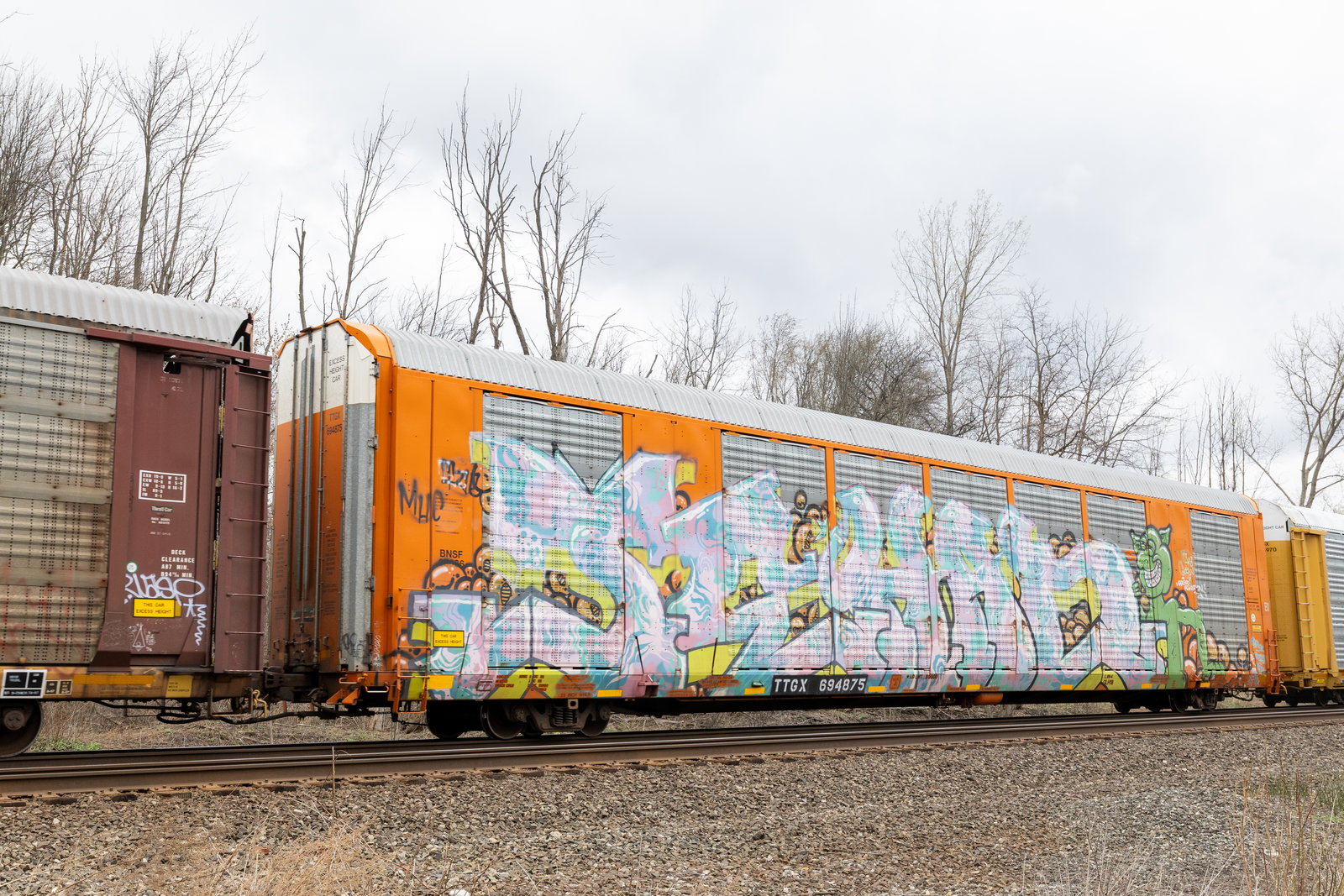 TTGX 694875