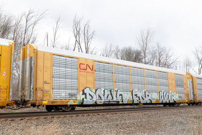 TTGX 696843