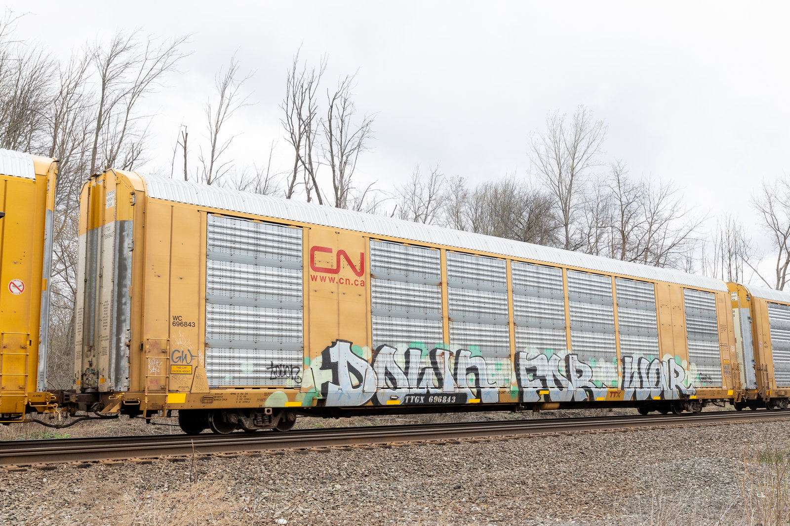 TTGX 696843