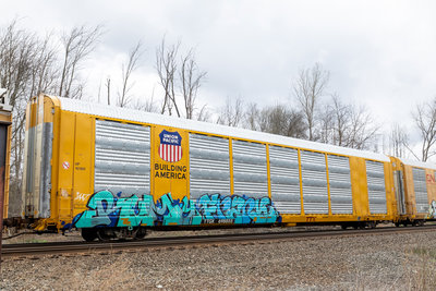 TTGX 698855