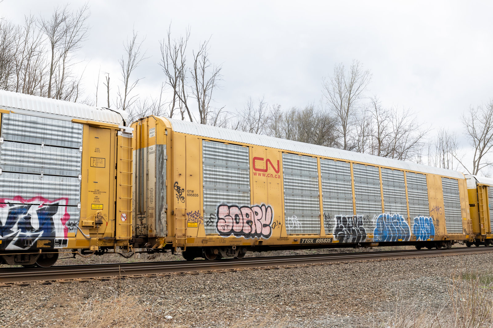 TTGX 695835