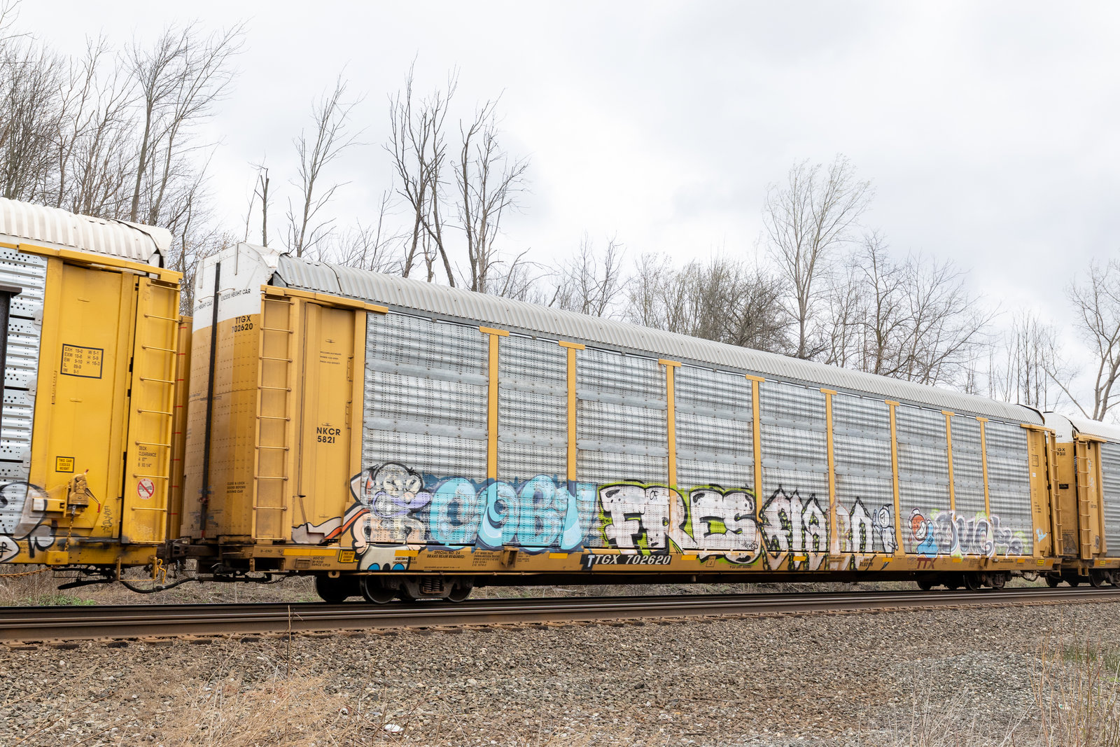 TTGX 702620