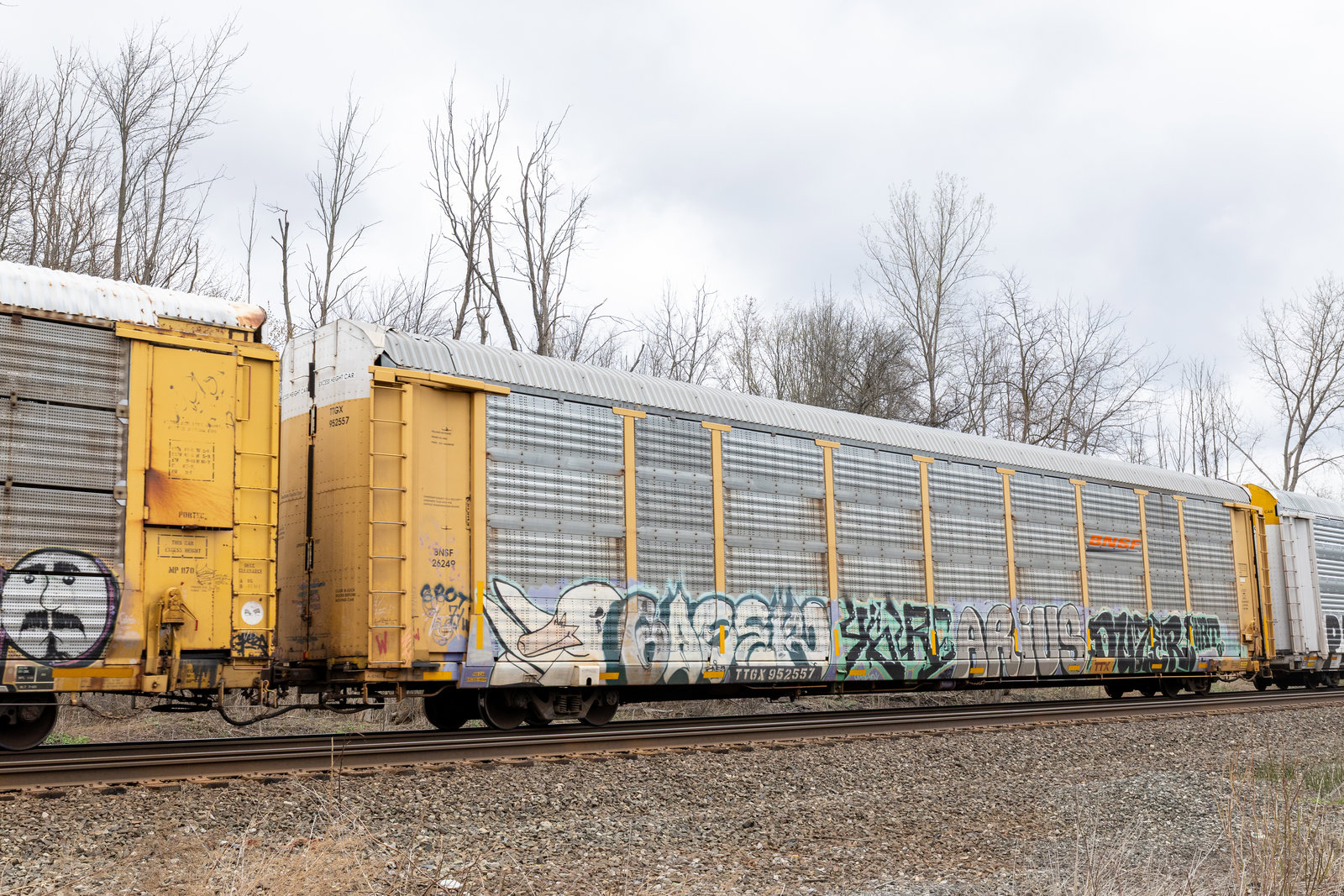 TTGX 952557