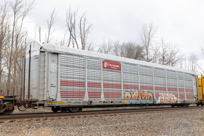 TTGX 706881