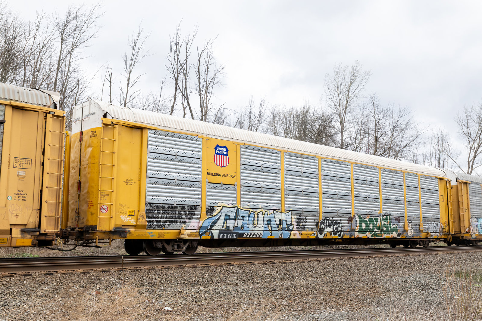 TTGX 922209