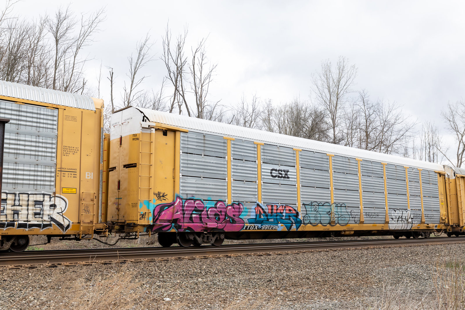 TTGX 991296
