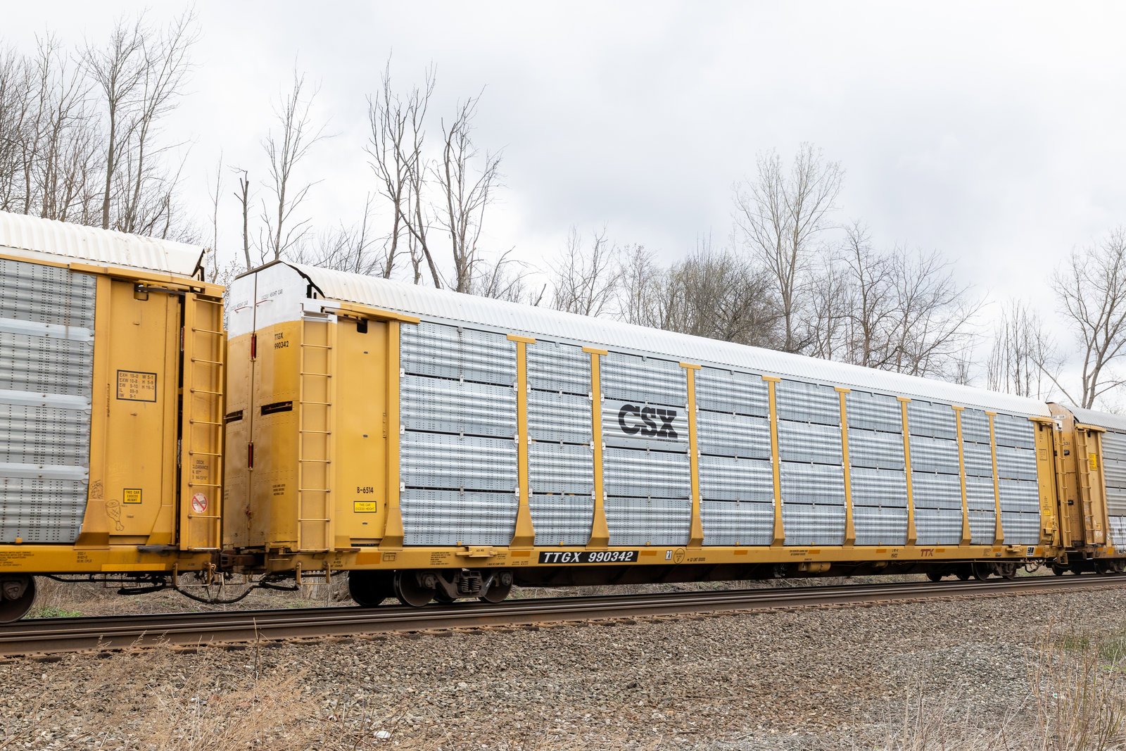 TTGX 990342