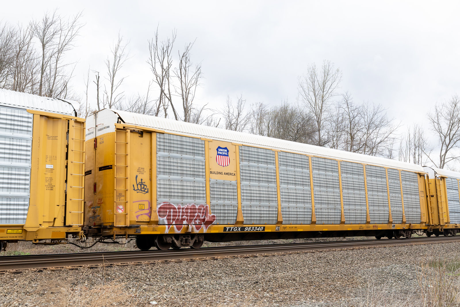 TTGX 983340