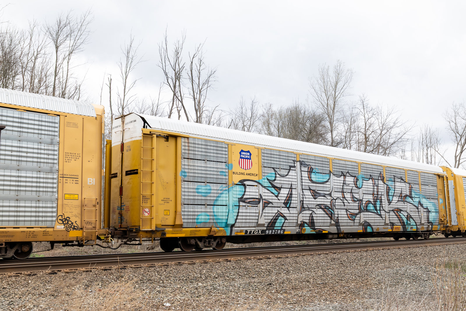 TTGX 982706