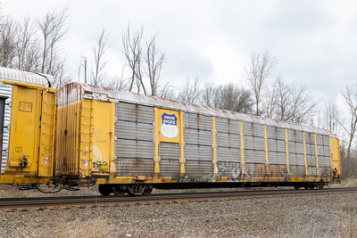 TTGX 255467