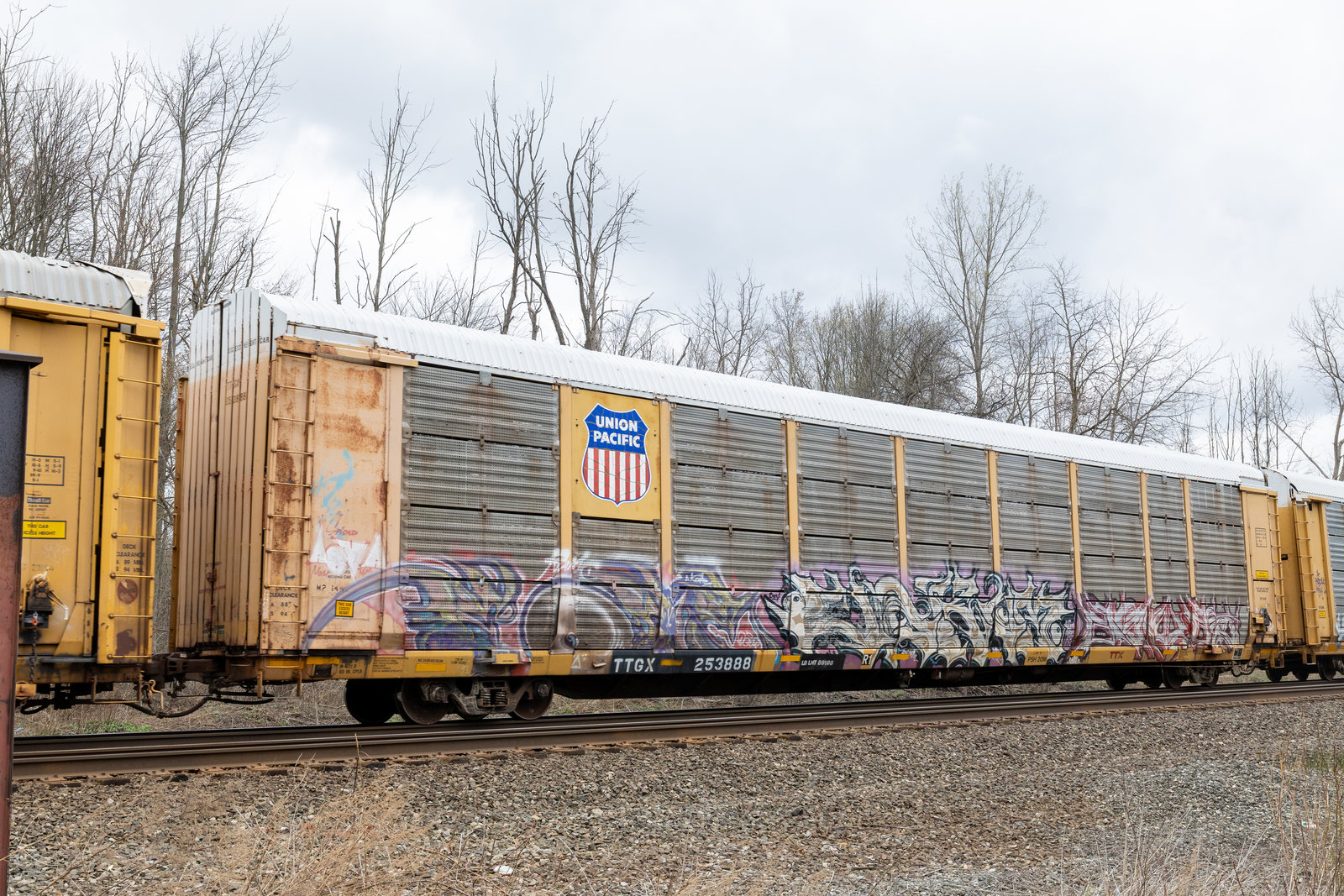 TTGX 253888