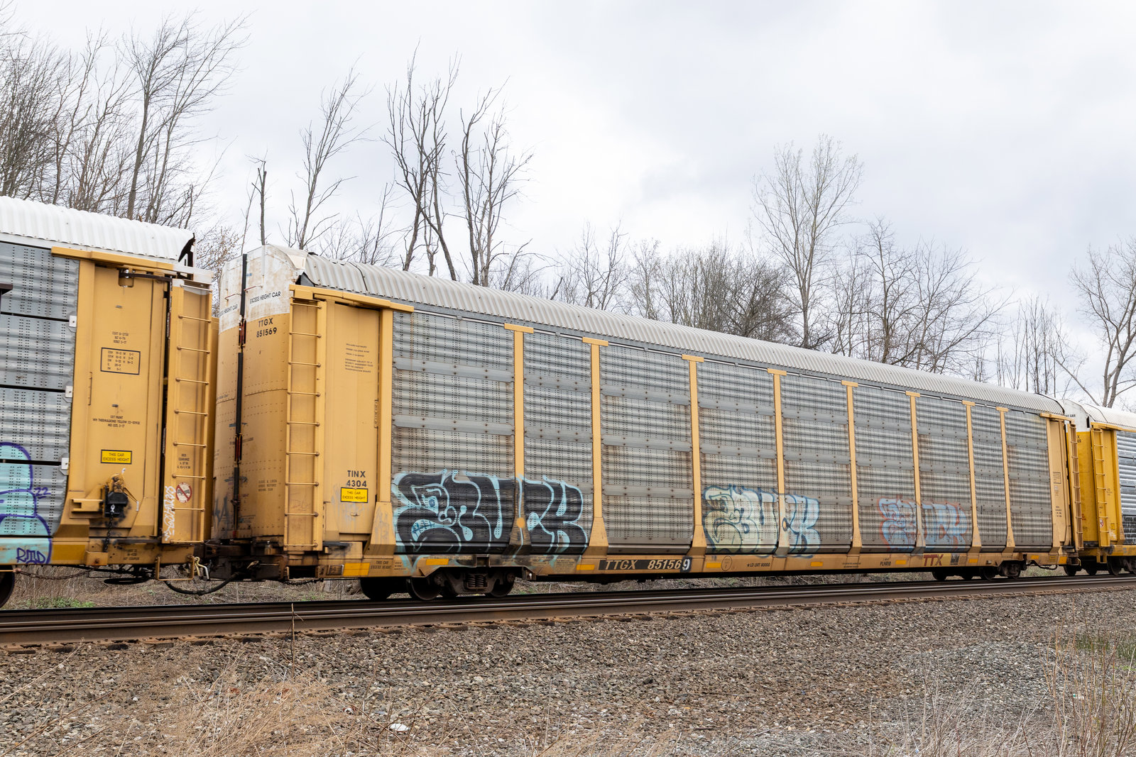 TTGX 851569