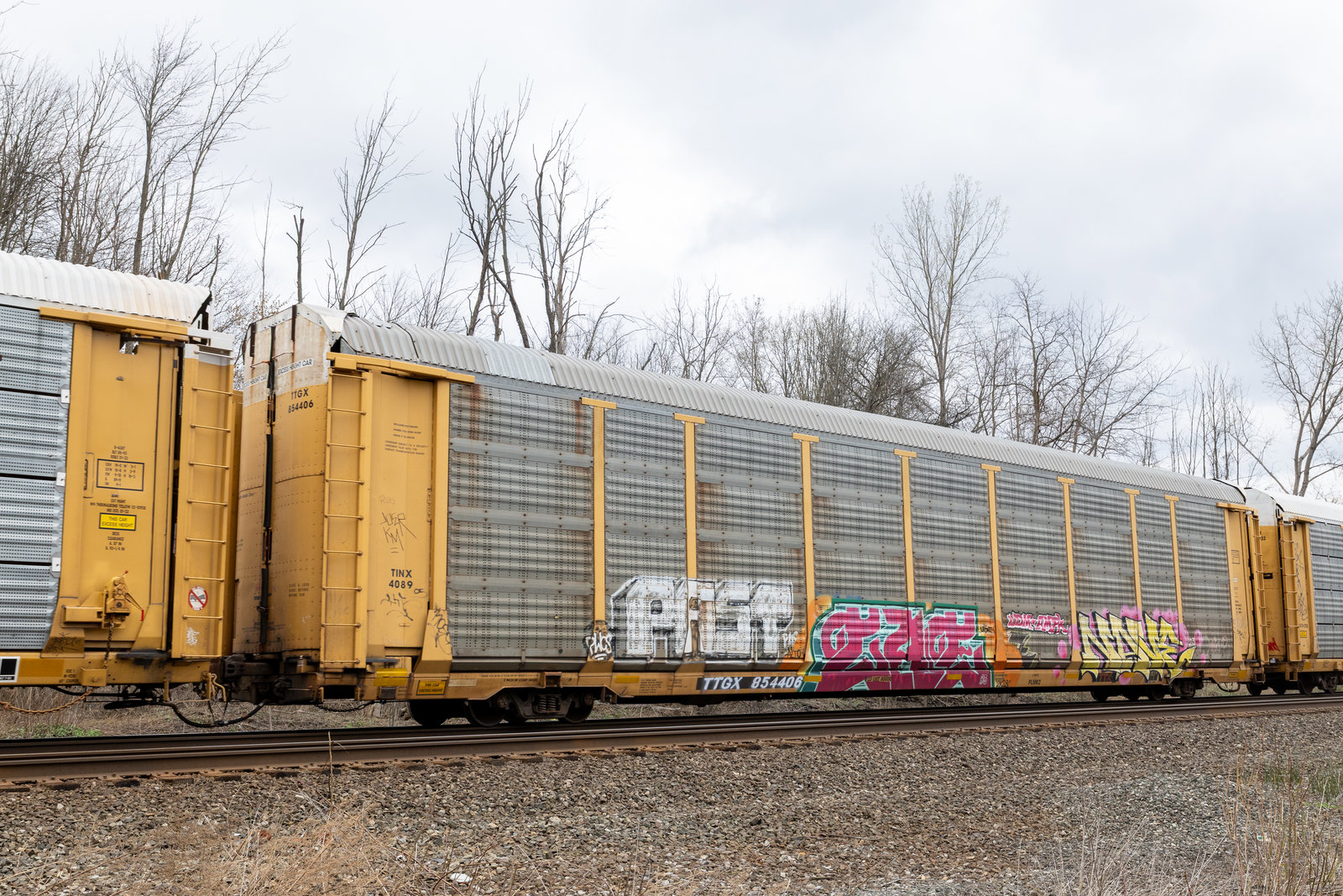 TTGX 854406