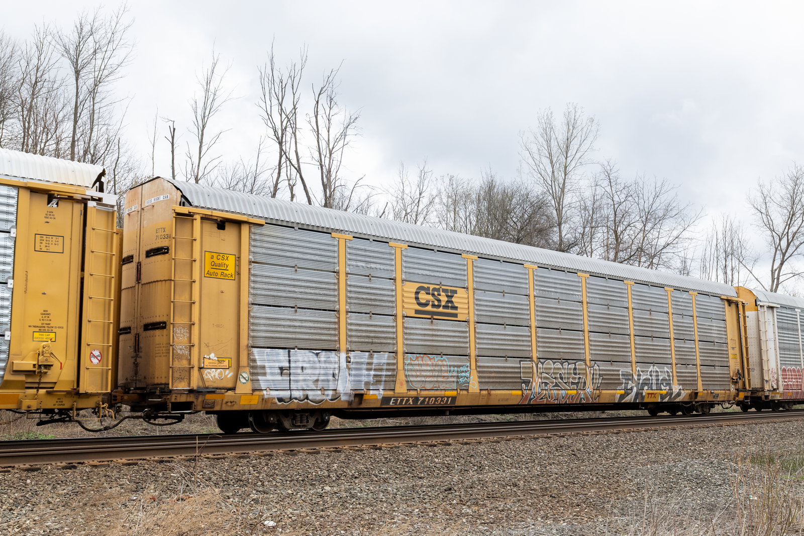 ETTX 710331