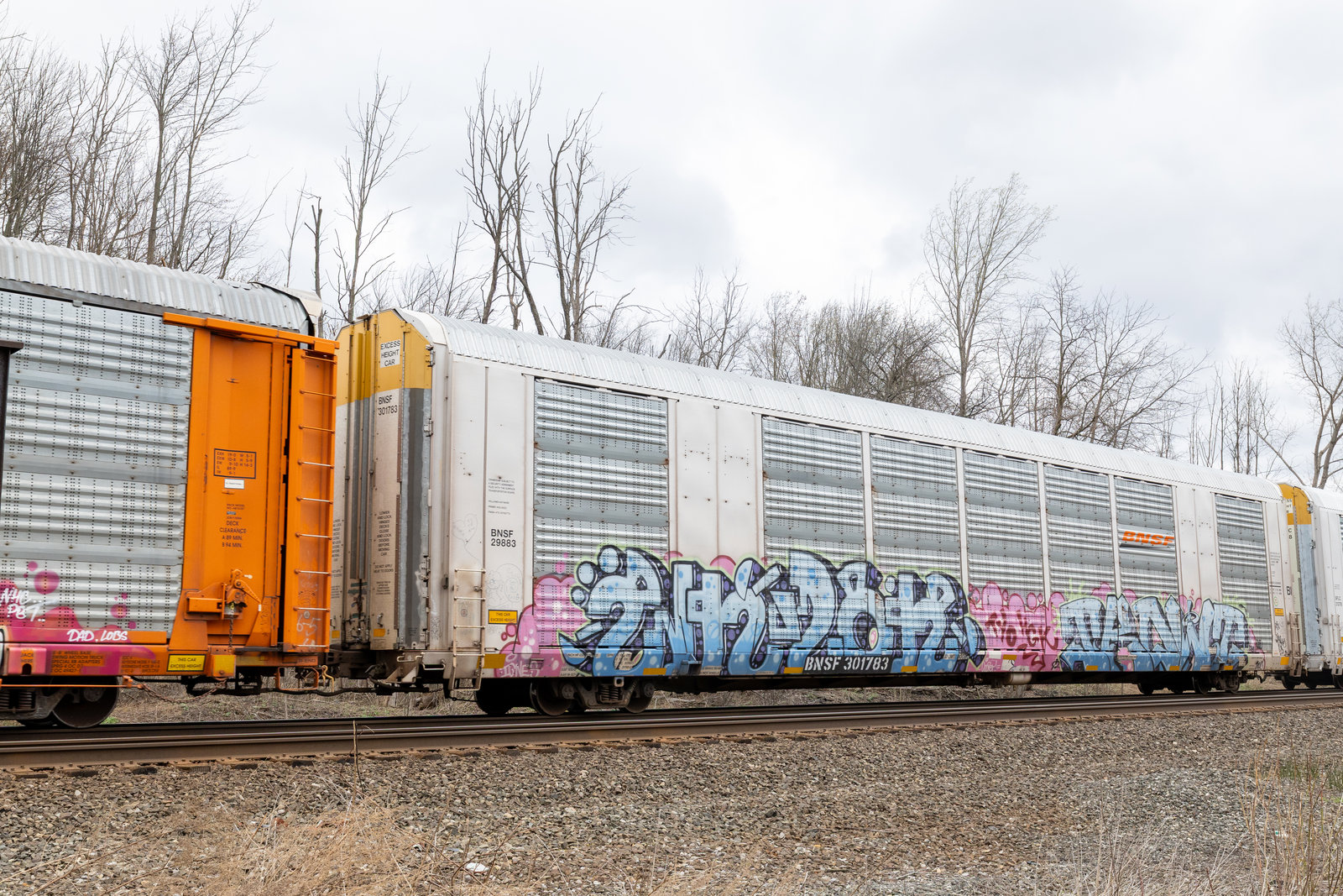 BNSF 301783