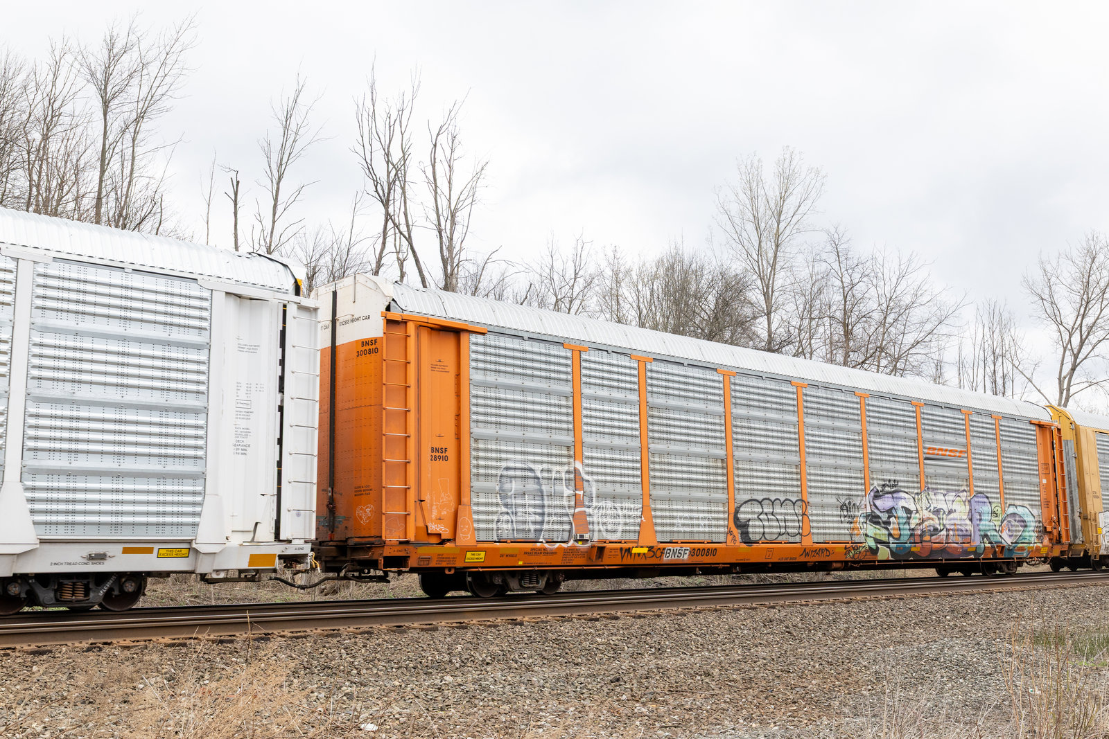 BNSF 300810