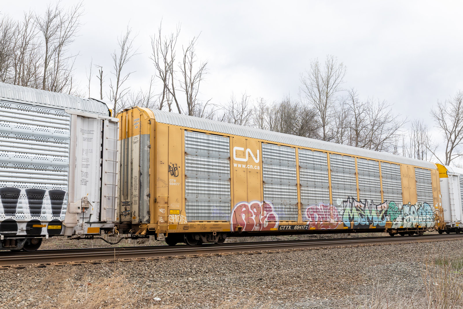 CTTX 694177