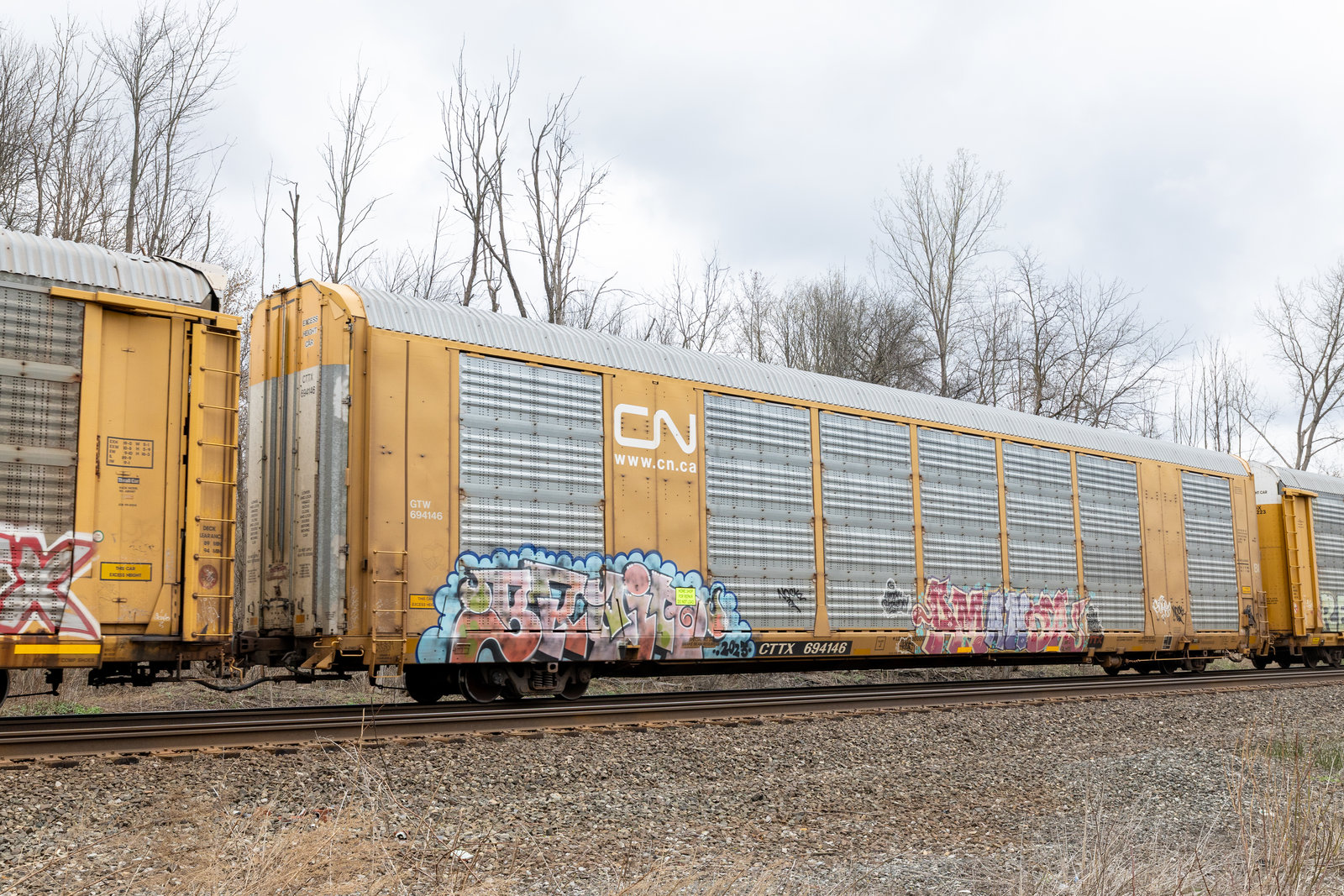 CTTX 694146