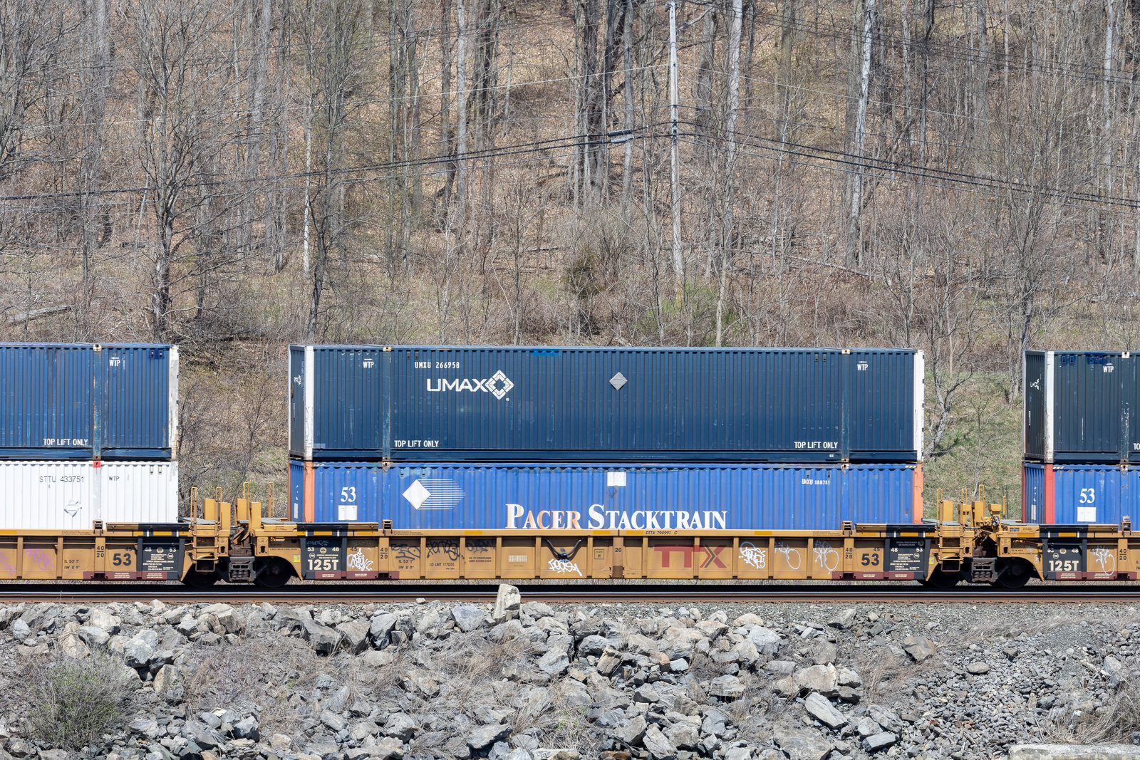 DTTX 790991C