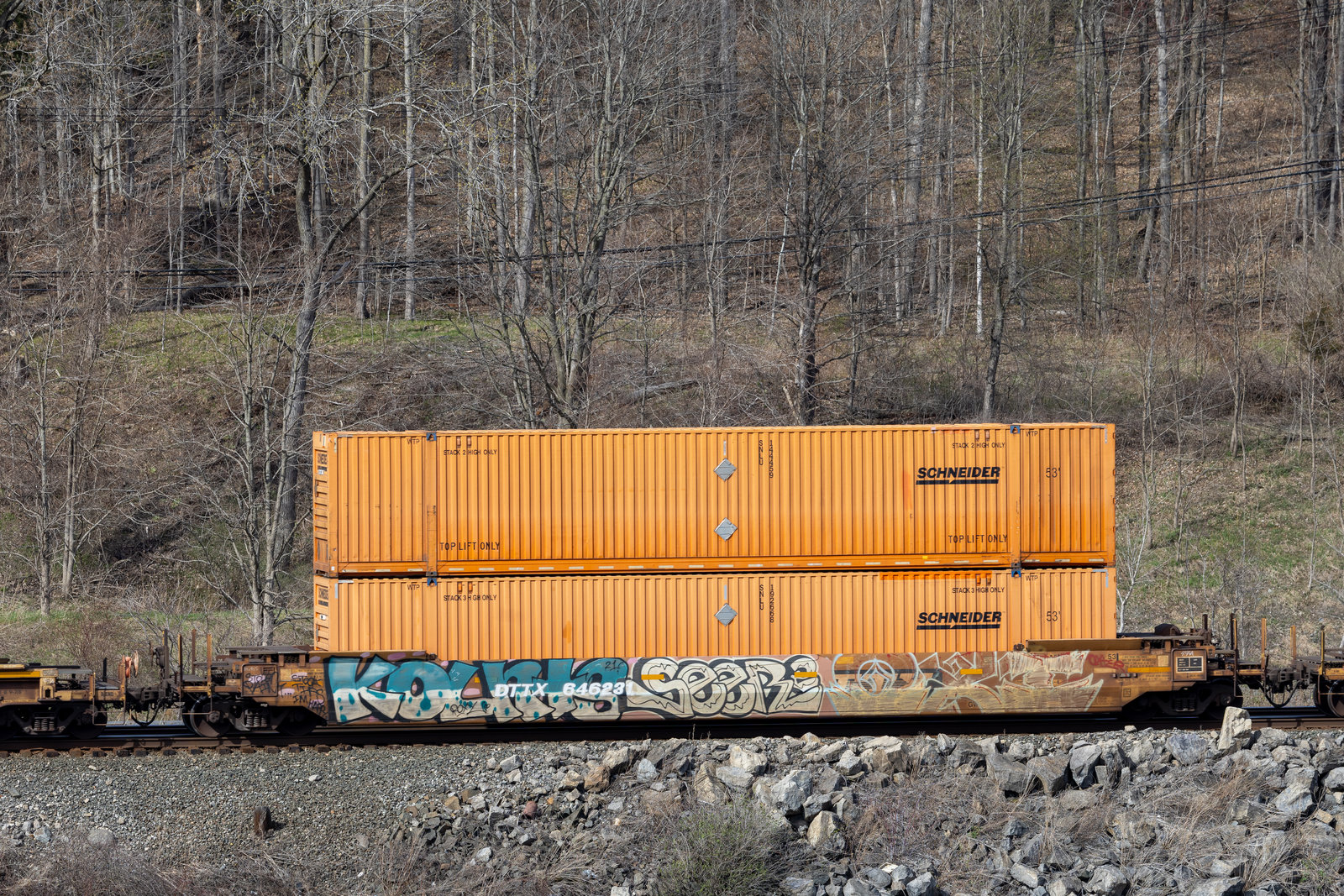 DTTX 646231