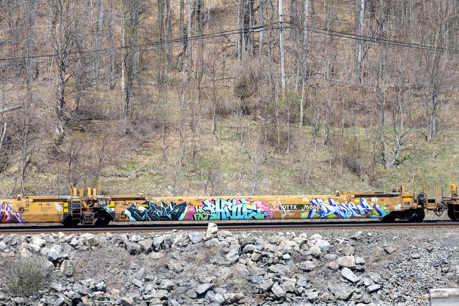 DTTX 768687B