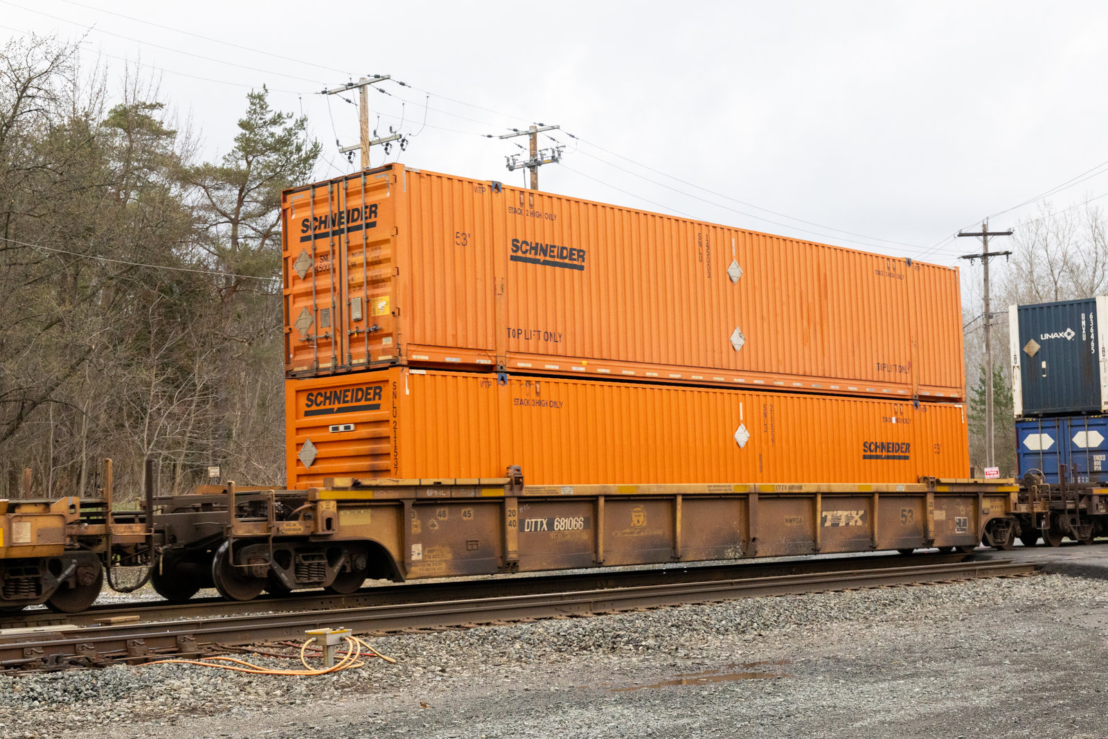 DTTX 681066