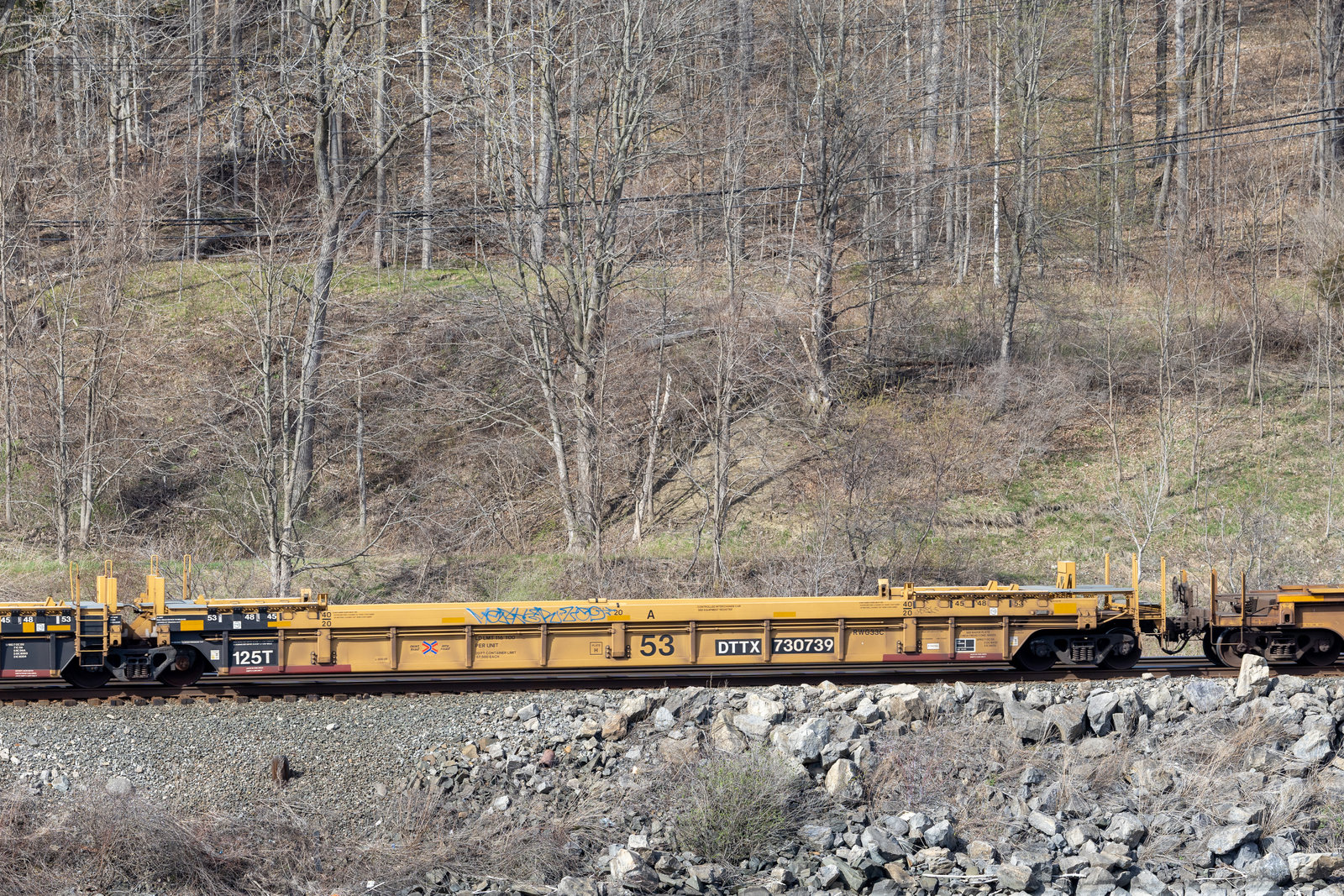 DTTX 730739A