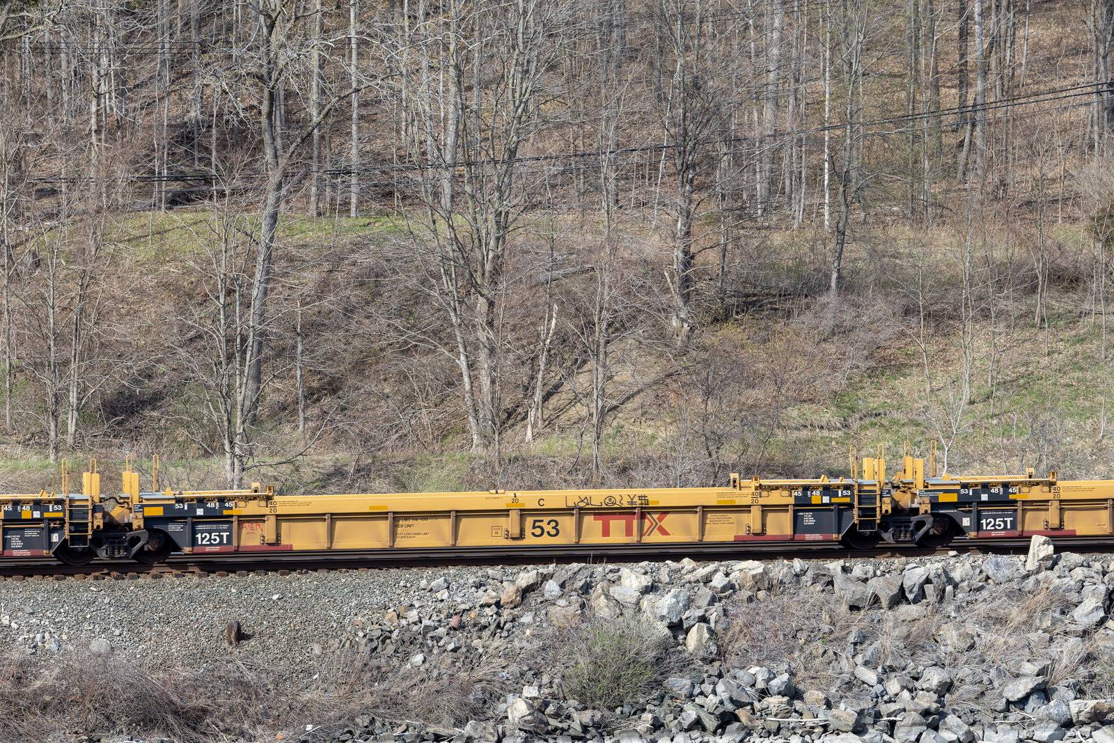 DTTX 730739C