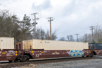 AOK 73823C