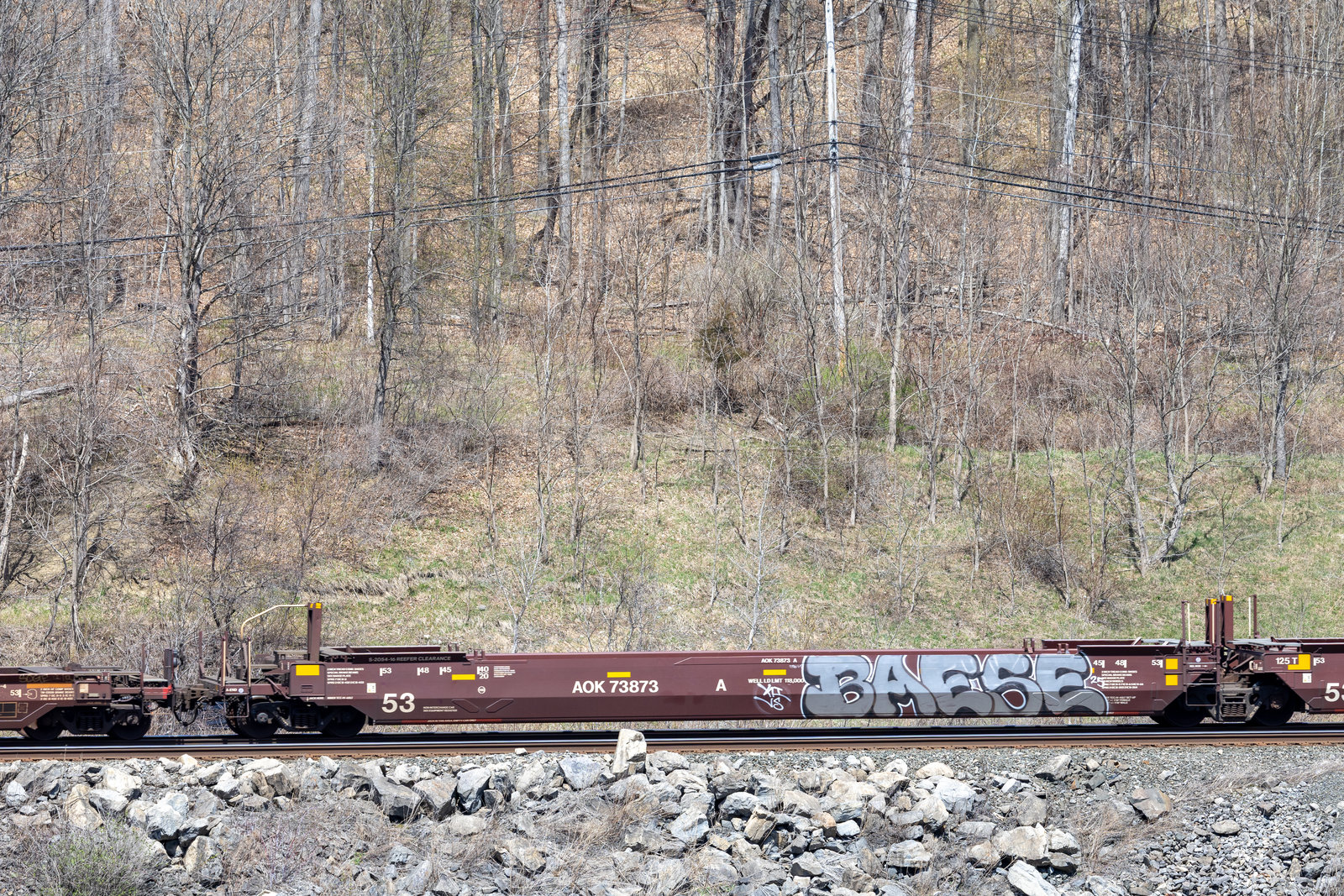 AOK 73873A