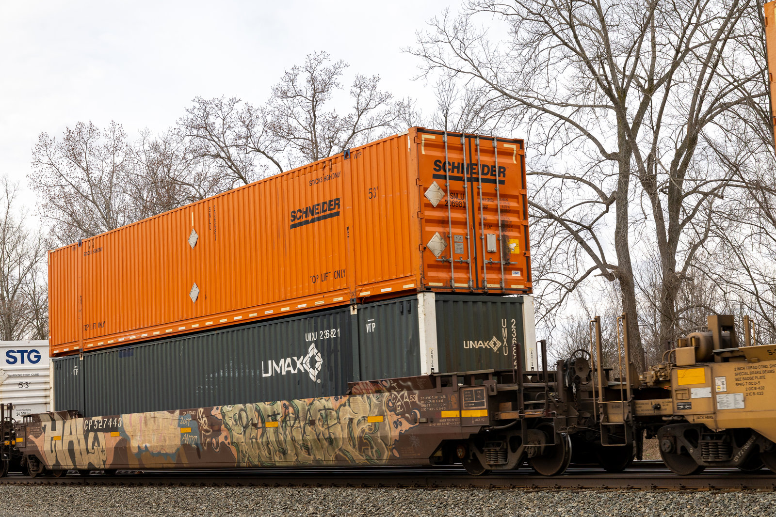 CP 527443