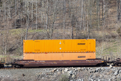 CP 527295