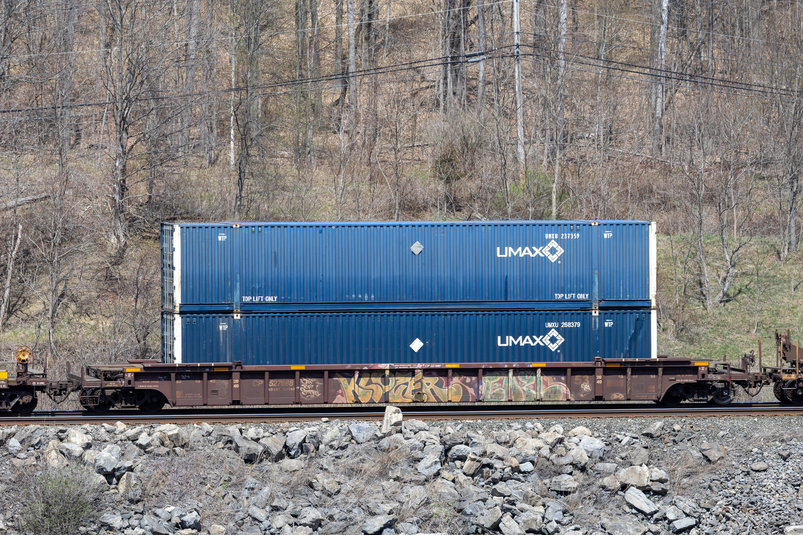 CP 527688