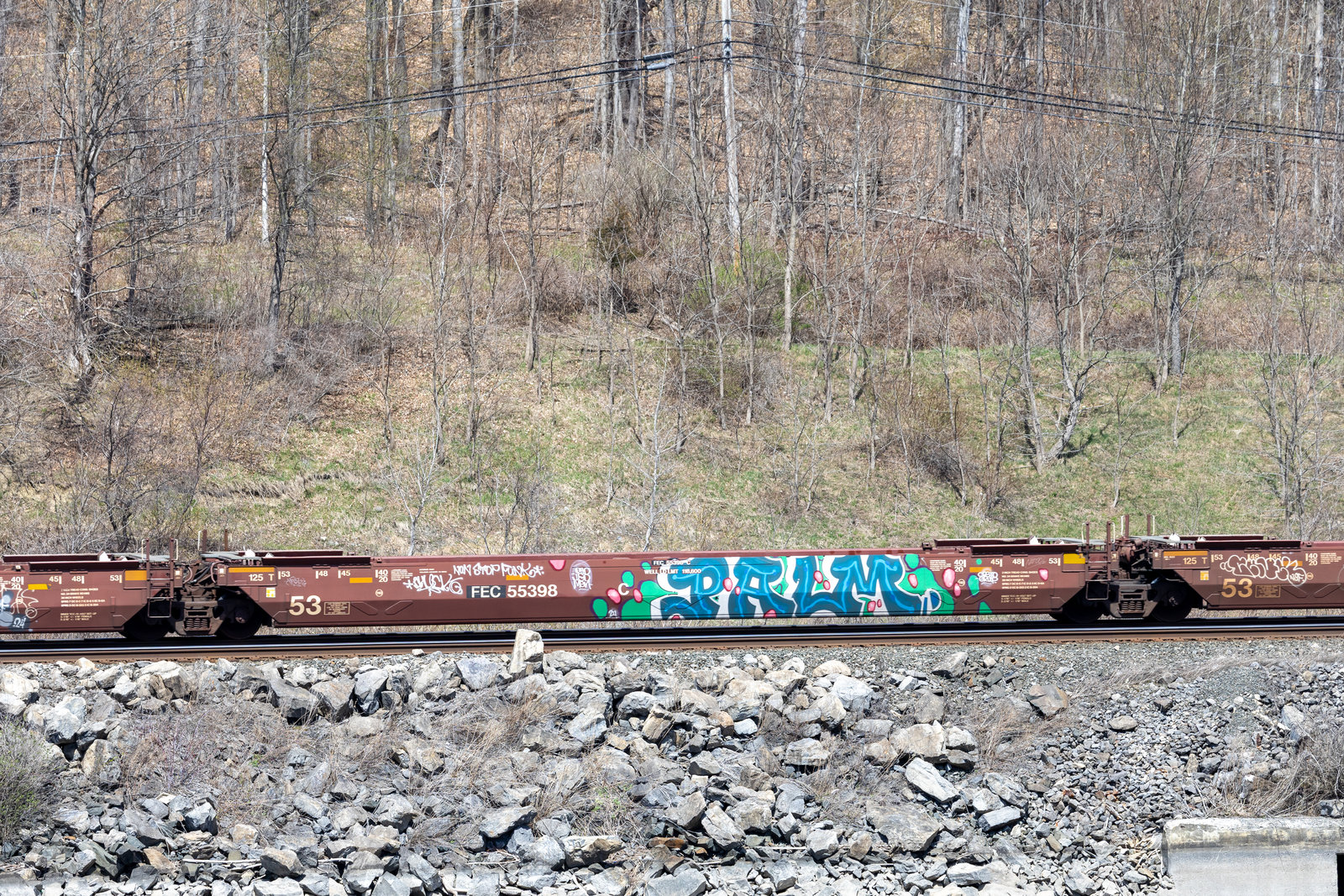 FEC 55398C