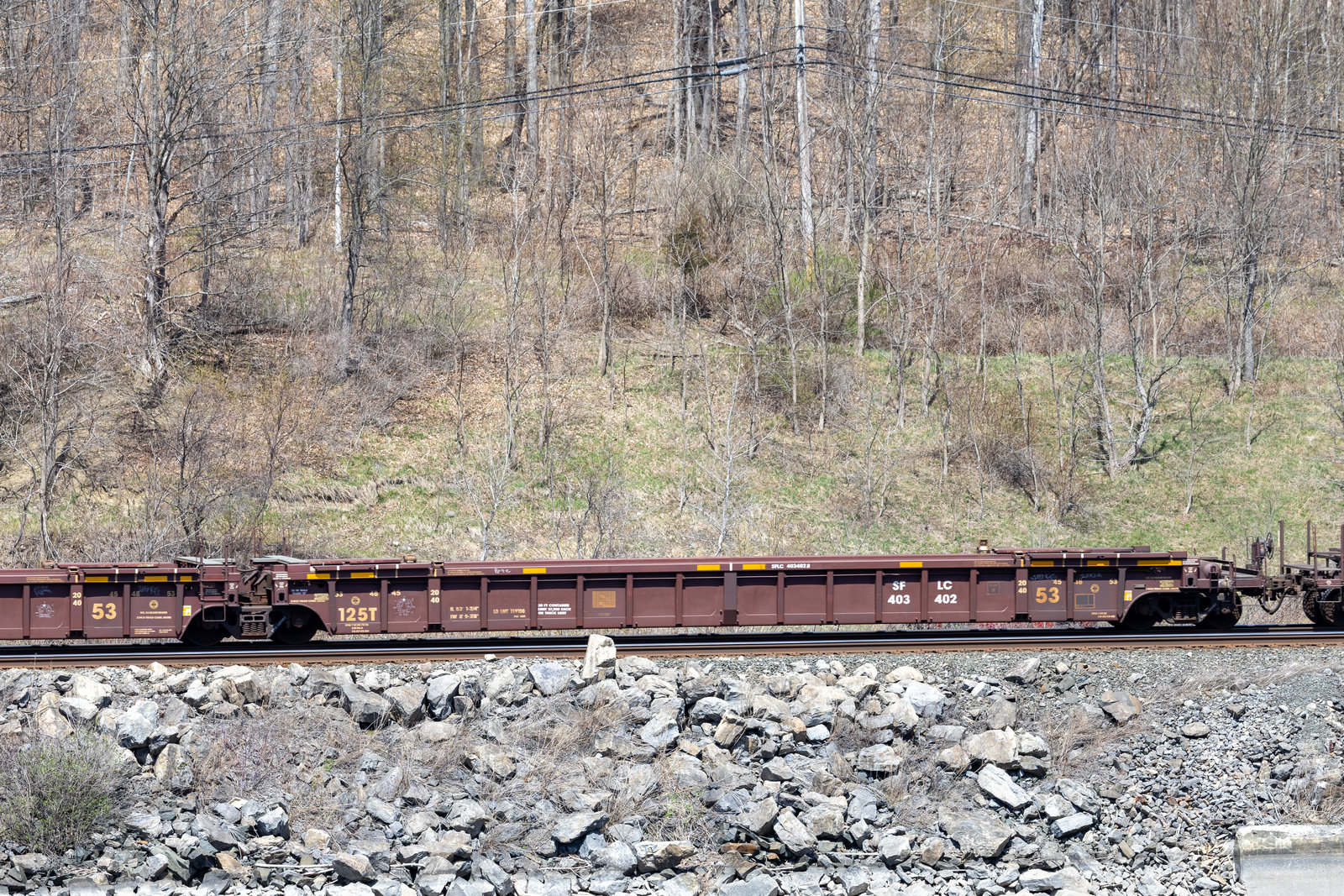SFLC 403402B