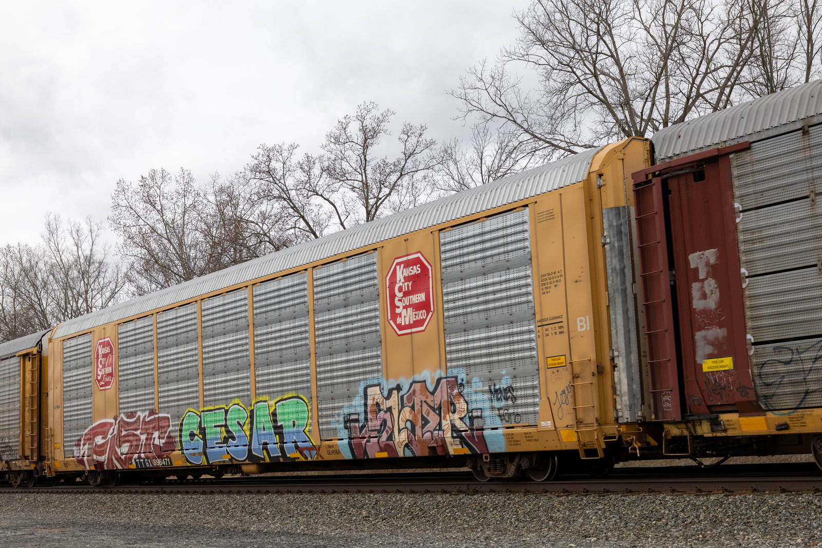 TTGX 696471