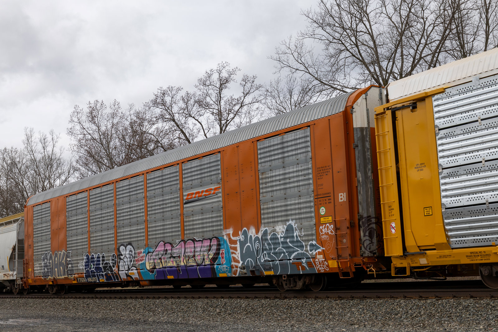 TTGX 693317
