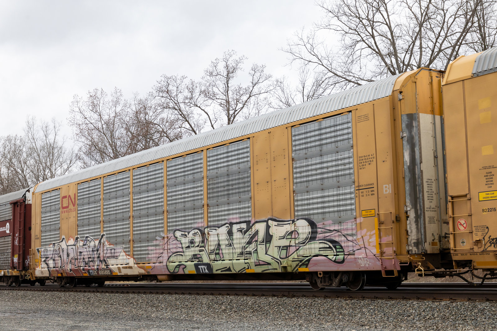 TTGX 695895